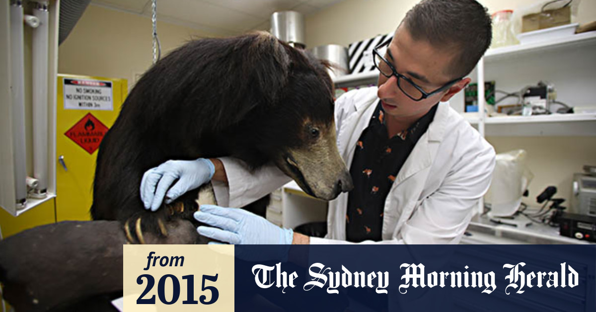 Video Saving dead animals